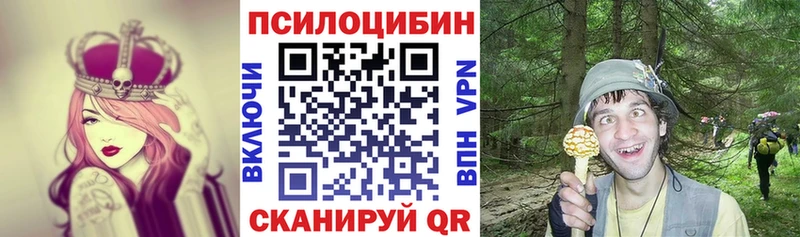 хочу   Трубчевск  Псилоцибиновые грибы Psilocybine cubensis 